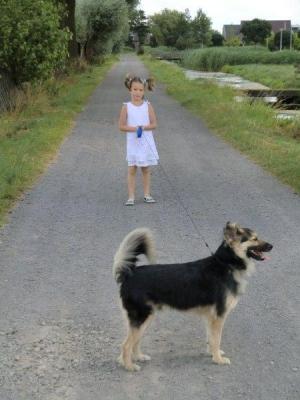 Прикачена снимка
