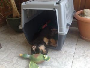Прикачена снимка