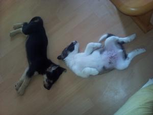 Прикачена снимка