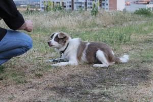 Прикачена снимка