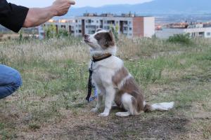 Прикачена снимка