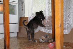 Прикачена снимка