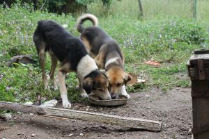 Прикачена снимка