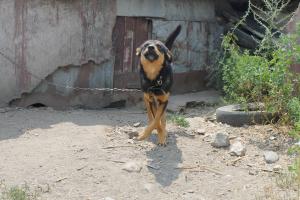 Прикачена снимка