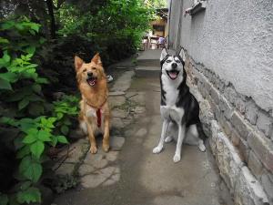 Прикачена снимка
