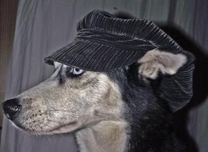 Прикачена снимка
