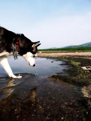 Прикачена снимка