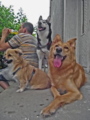 Прикачена снимка