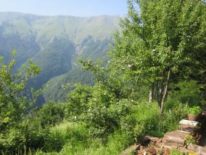 Прикачена снимка