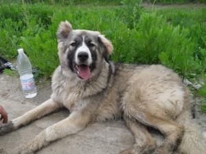 Прикачена снимка