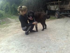 Прикачена снимка