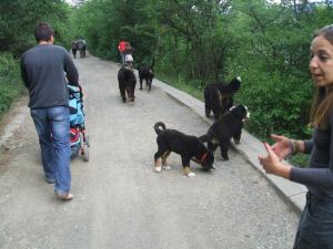 Прикачена снимка