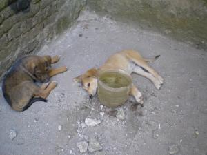 Прикачена снимка