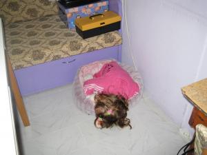 Прикачена снимка