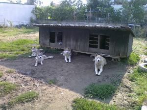 Прикачена снимка