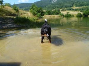 Прикачена снимка