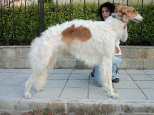 Прикачена снимка