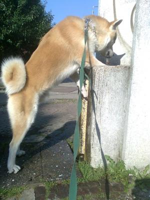 Прикачена снимка