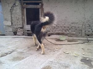 Прикачена снимка