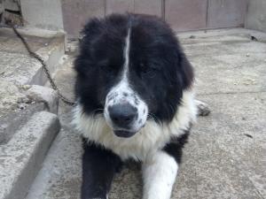 Прикачена снимка