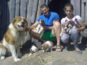 Прикачена снимка