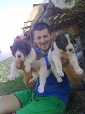 Прикачена снимка