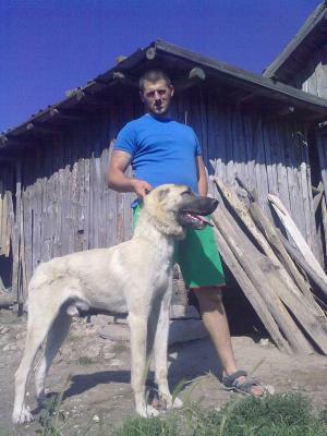 Прикачена снимка