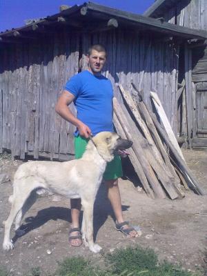 Прикачена снимка