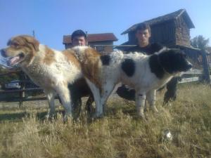 Прикачена снимка