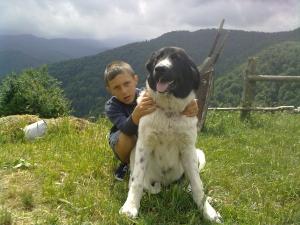 Прикачена снимка