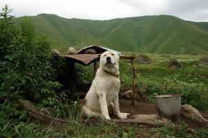 Прикачена снимка