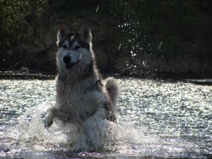 Прикачена снимка