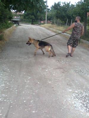 Прикачена снимка