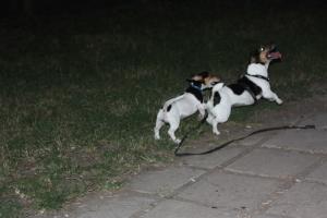 Прикачена снимка
