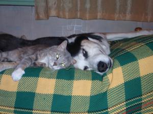 Прикачена снимка