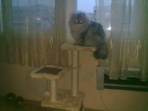 Прикачена снимка