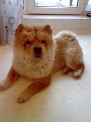 Прикачена снимка