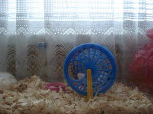 Прикачена снимка