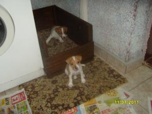 Прикачена снимка