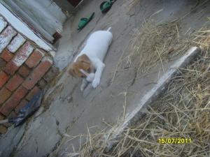 Прикачена снимка