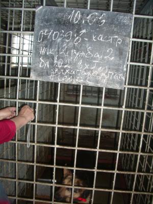 Прикачена снимка