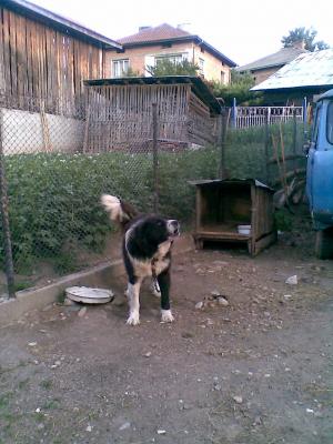 Прикачена снимка