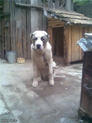 Прикачена снимка