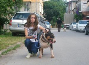 Прикачена снимка