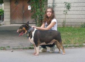Прикачена снимка