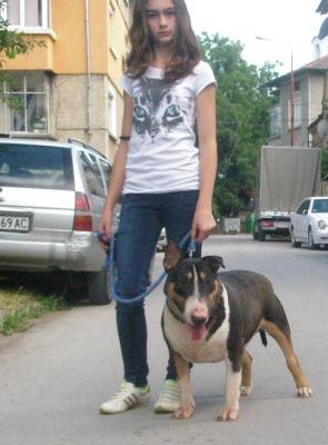 Прикачена снимка