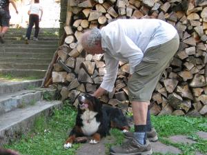 Прикачена снимка