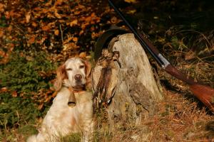 Прикачена снимка