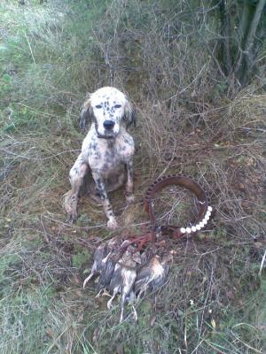 Прикачена снимка