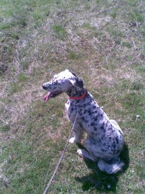 Прикачена снимка